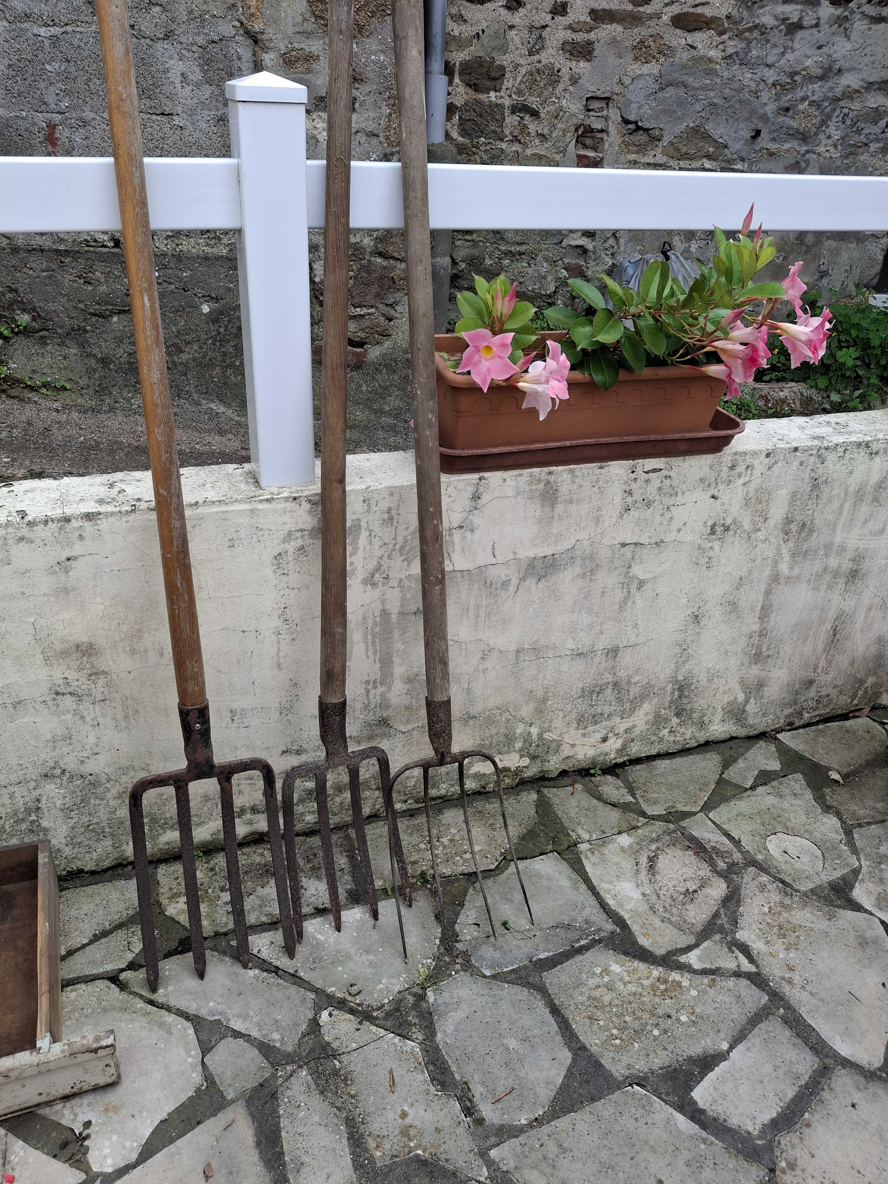 Aventure outil de jardin
