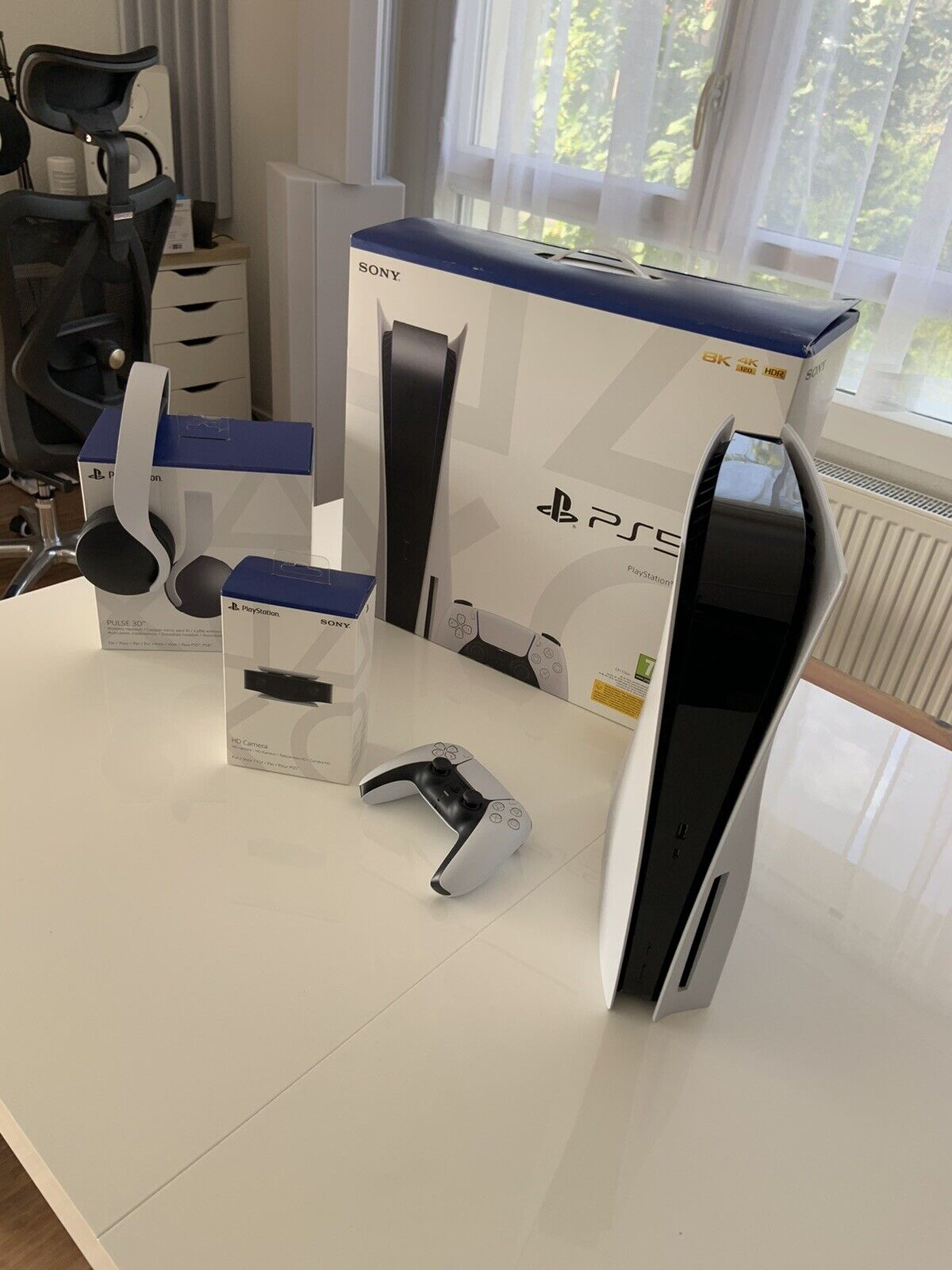 PS5 standard
