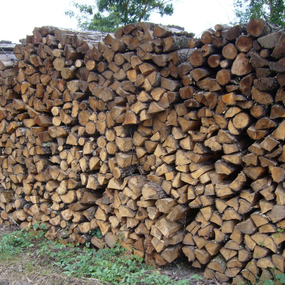 bois de chauffage sec de 4 ans