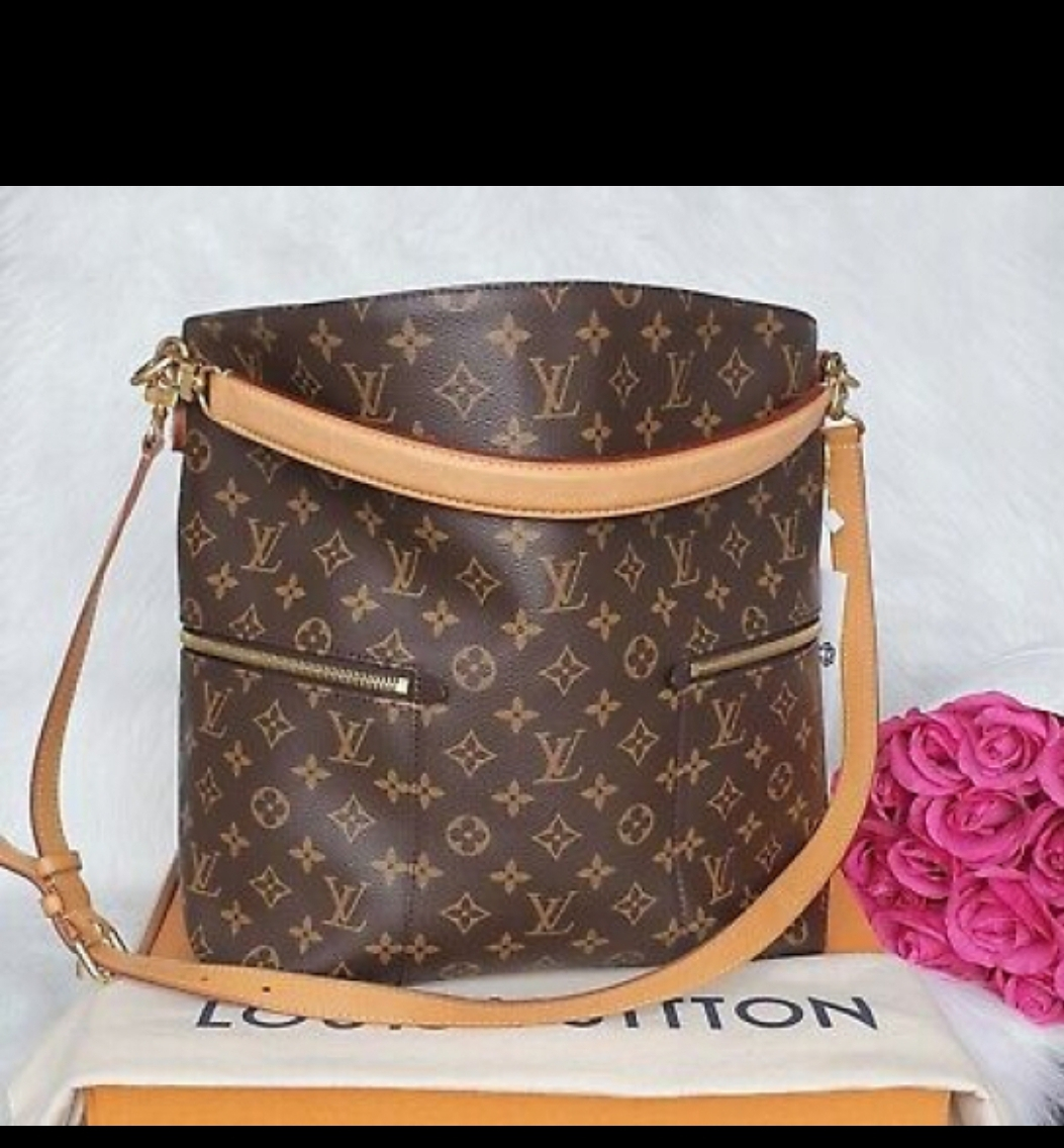 Sac en main Louis Vuitton