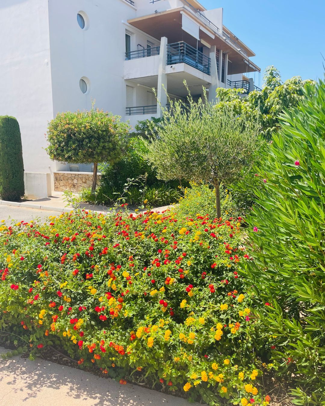 EN EXCLUSIVITE : Votre 2 Pièces avec terrasse au calme - Miniature 5