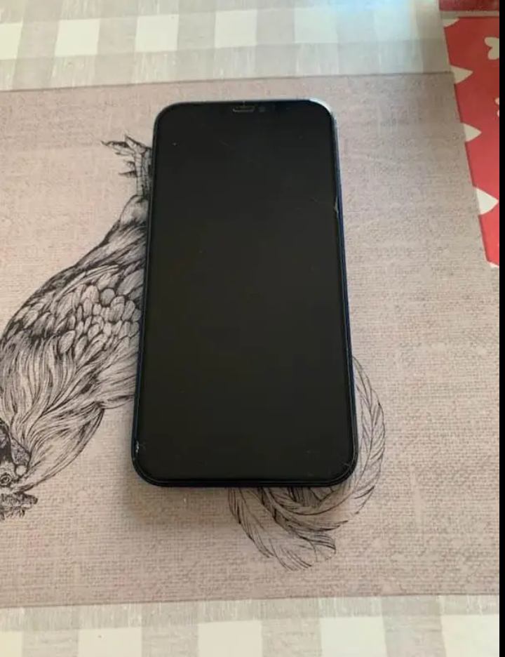 iPhone 12 bleu
