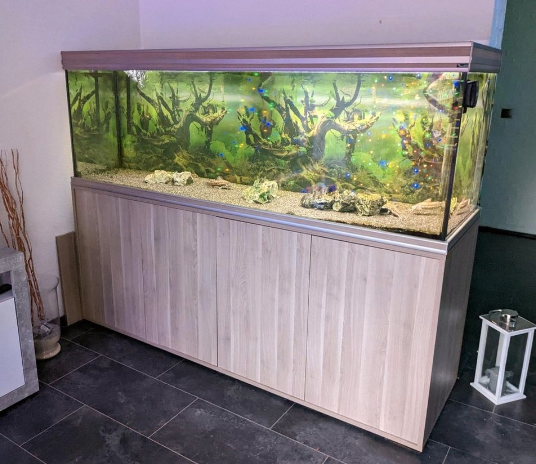 Aquarium à vendre