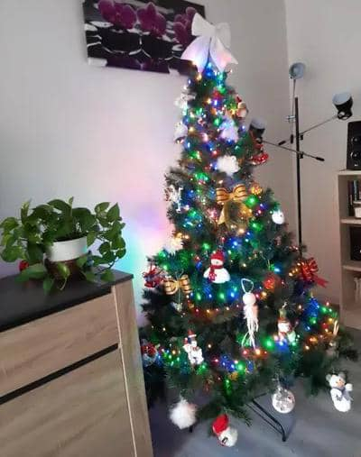 Sapin de Noël