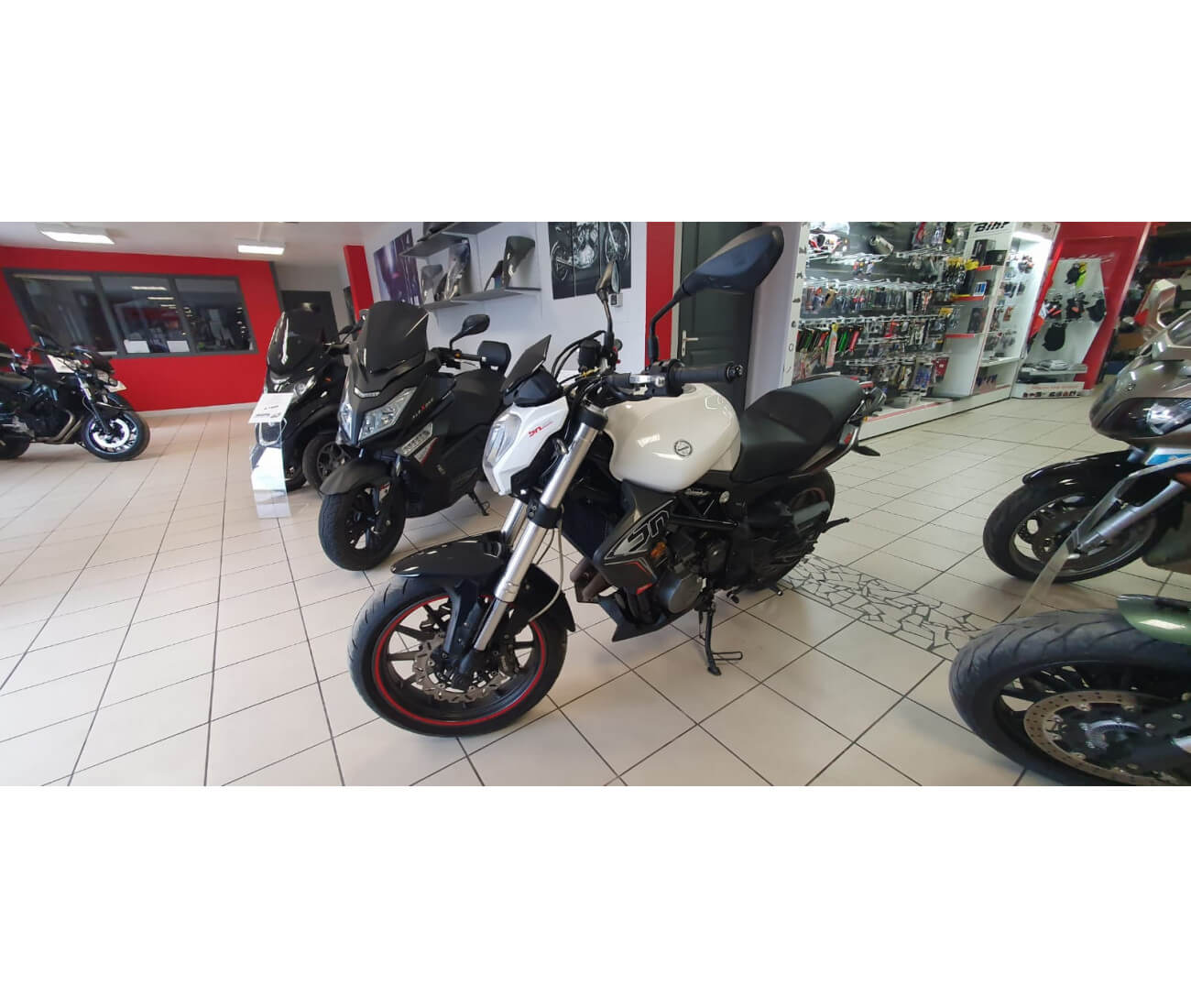 BENELLI 302 BN07/0217 - TRÈS BON ÉTAT - 18 012 Kms - Miniature 2