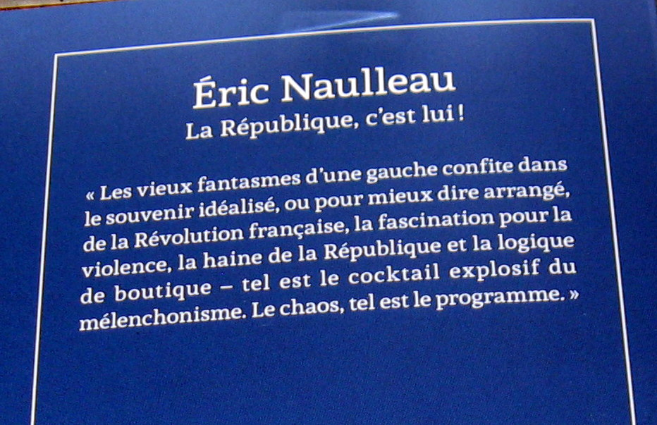 Livres de politique : Bardella, Sarkozy, Goldnadel, Naulleau - Miniature 2