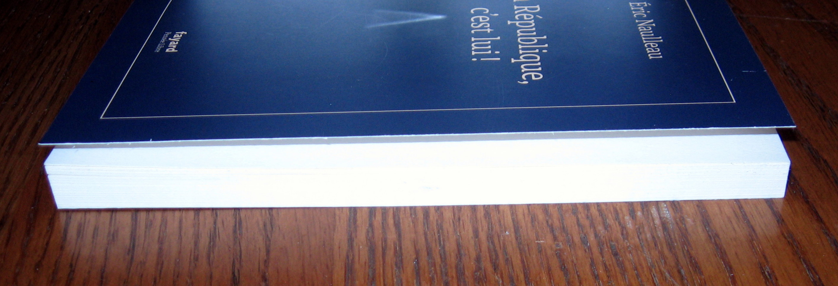 Livres de politique : Bardella, Sarkozy, Goldnadel, Naulleau - Miniature 16