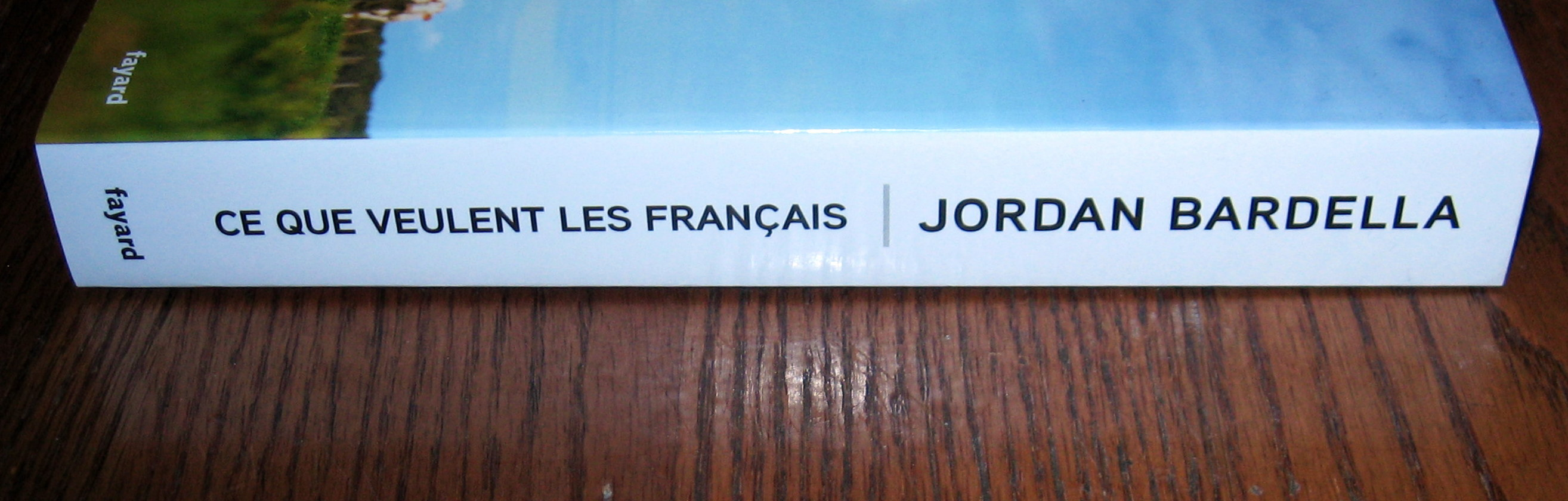 Livres de politique : Bardella, Sarkozy, Goldnadel, Naulleau - Miniature 14