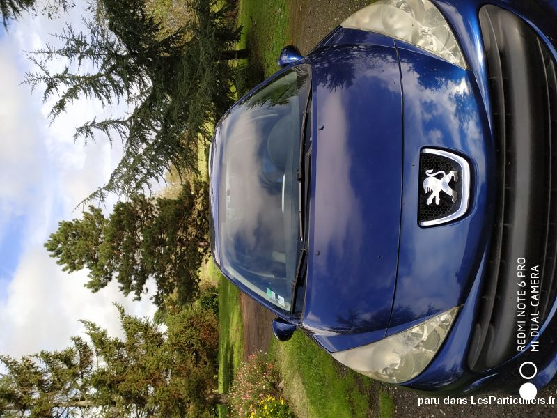 Peugeot 207 2009