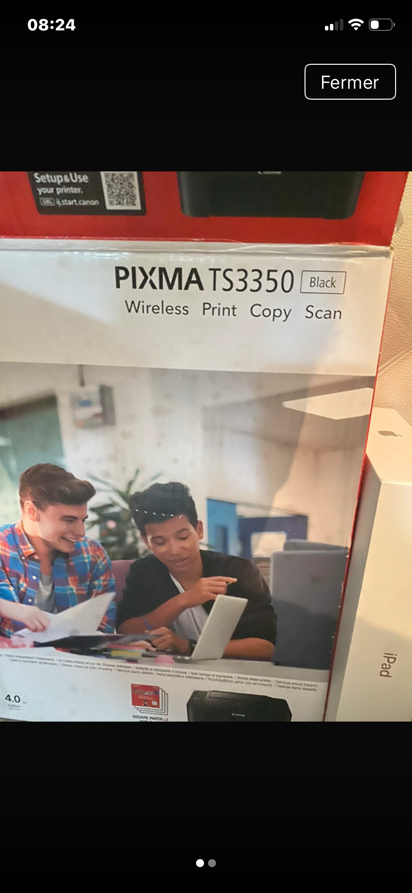 Imprimante Canon TS3350