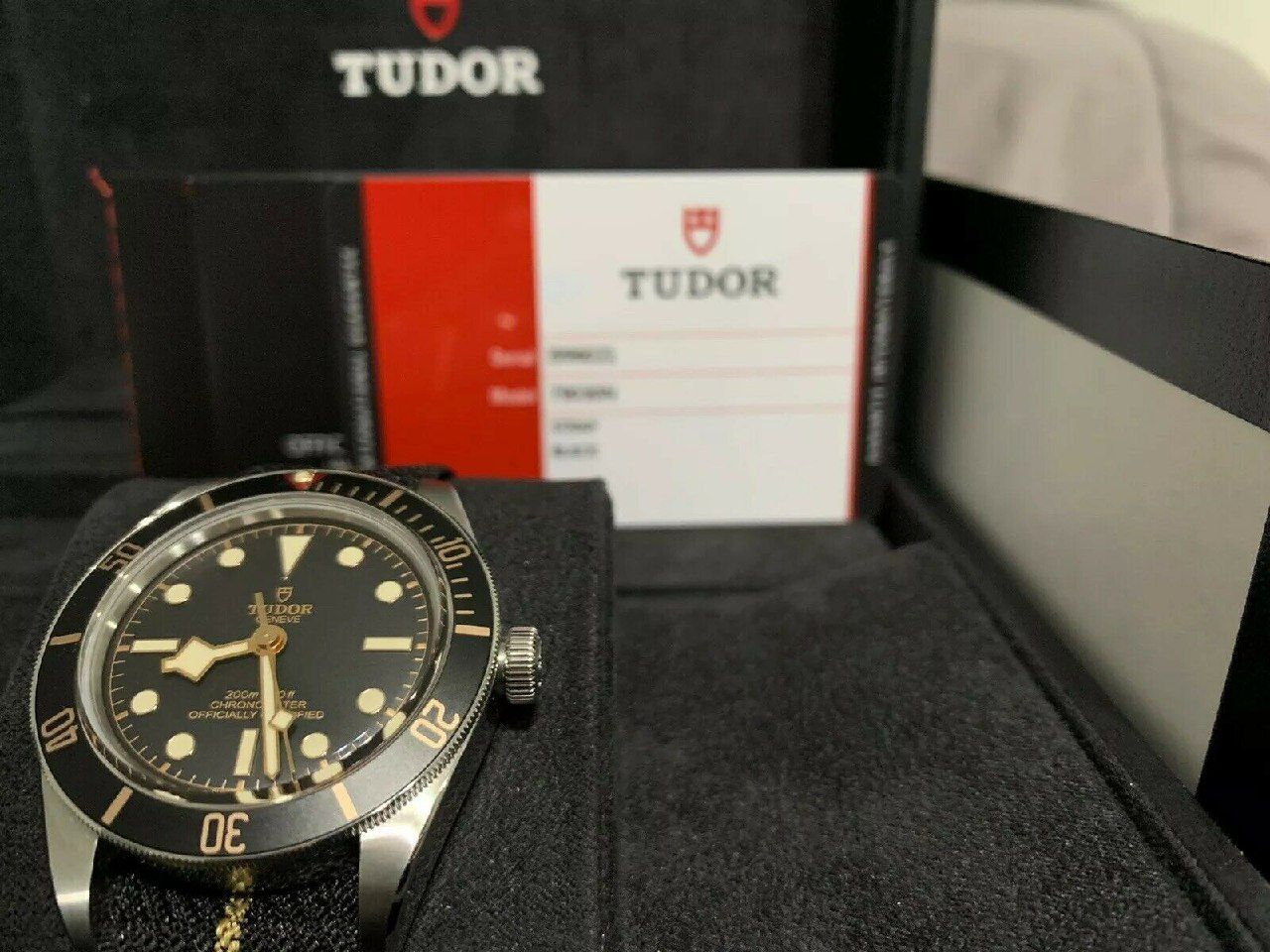 Montre Tudor Héritage black bay 79030N
