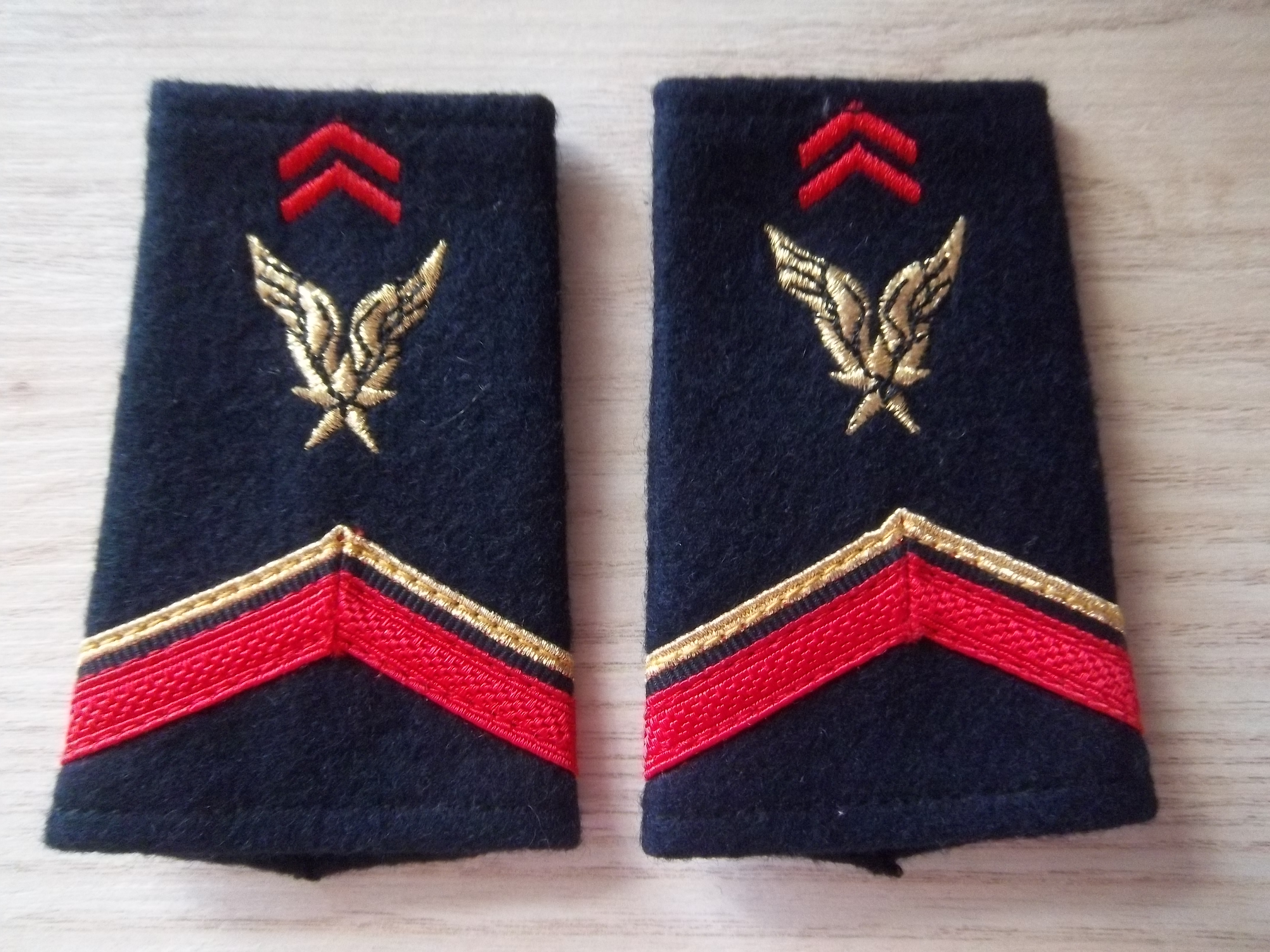 Lot de fourreaux militaires ALAT Aviation