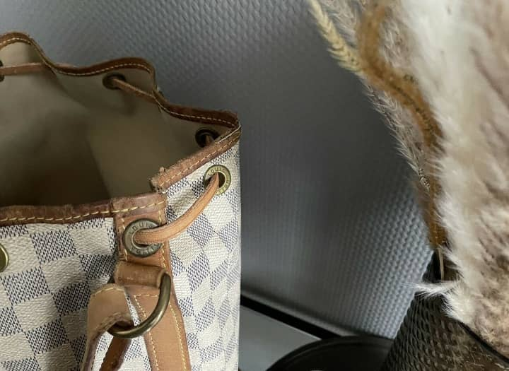 Sac Louis Vuitton
