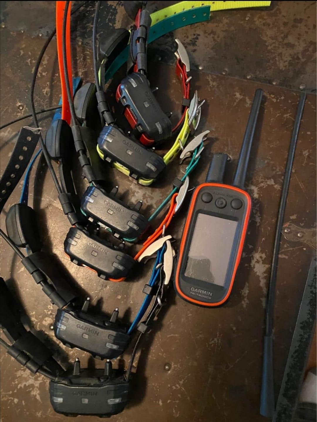 Garmin alpha 100+ 6tt15