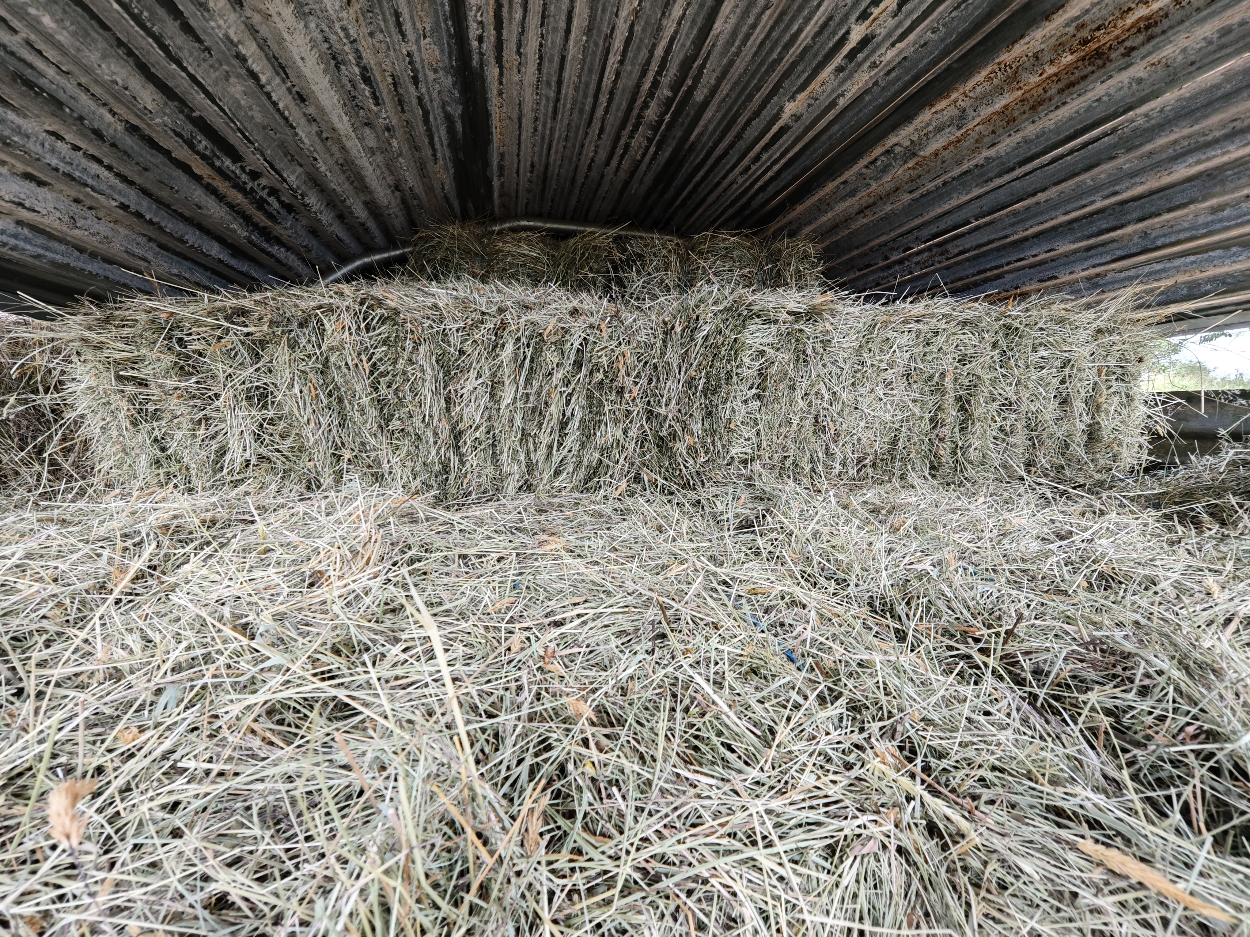 Bottes de foin écologiques 2025,ficelles naturelles en sisal.