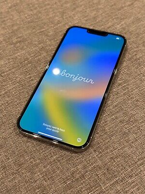 iPhone 13pro max