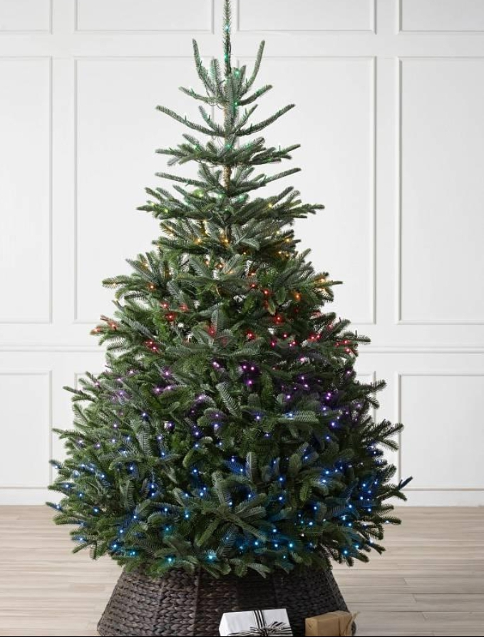 Sapin de Noël