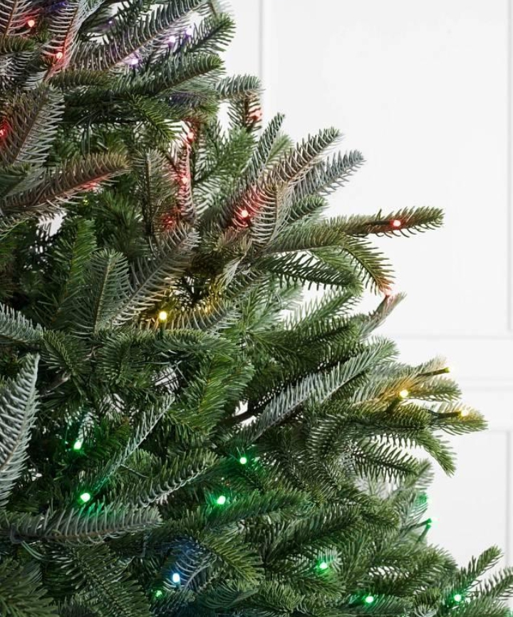 Sapin de Noël - Miniature 2