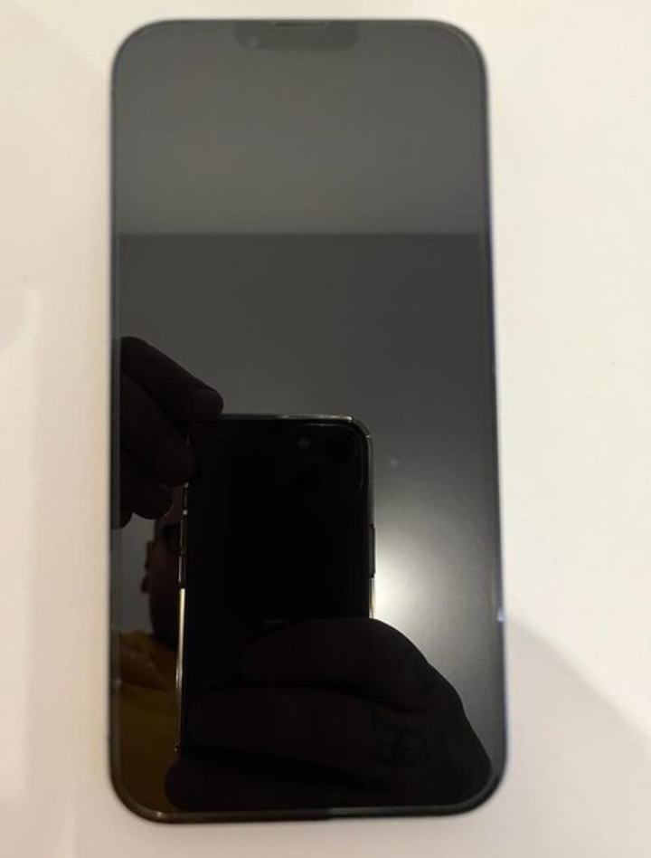 Iphone 13 pro max