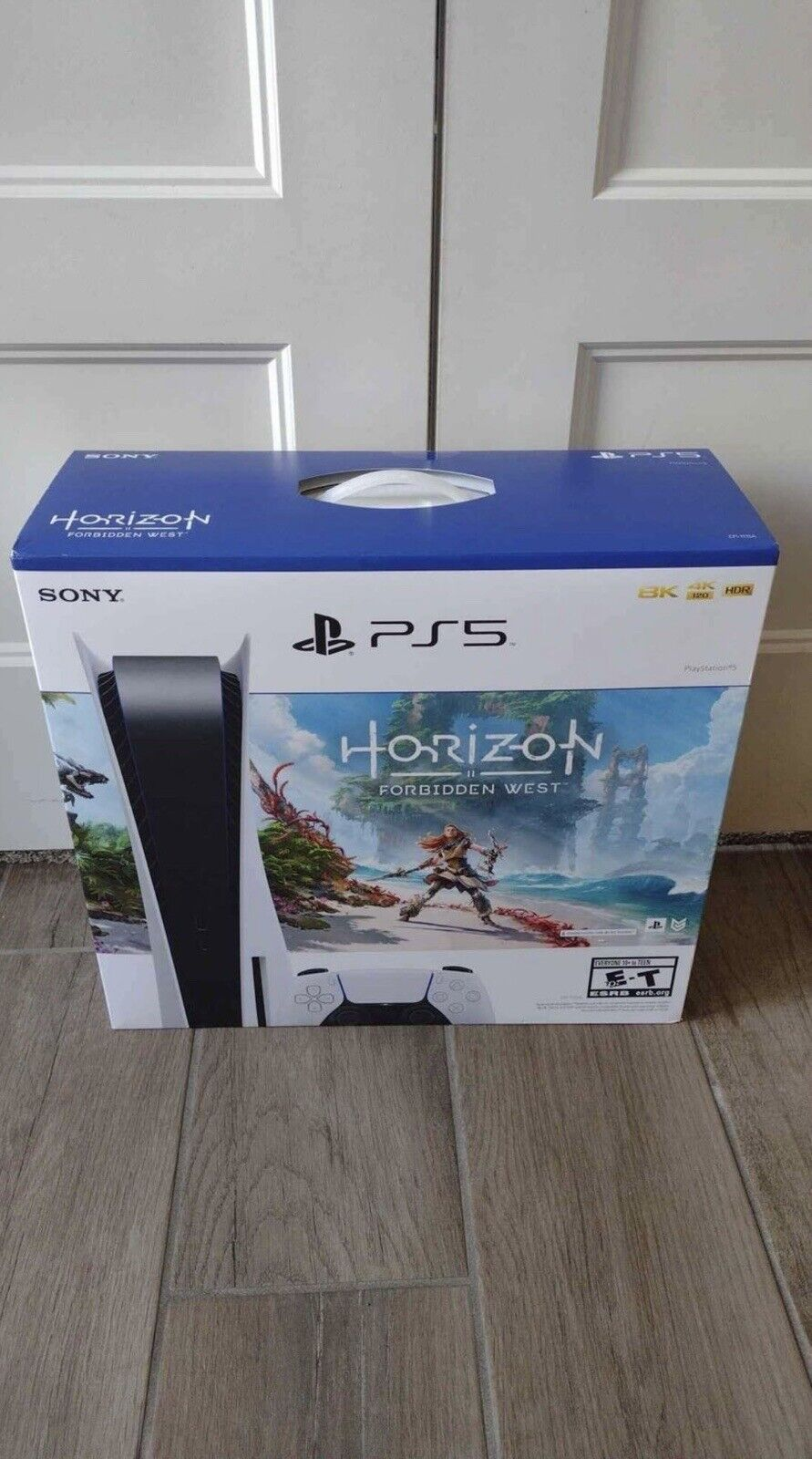 PlayStation Ps5 horizon
