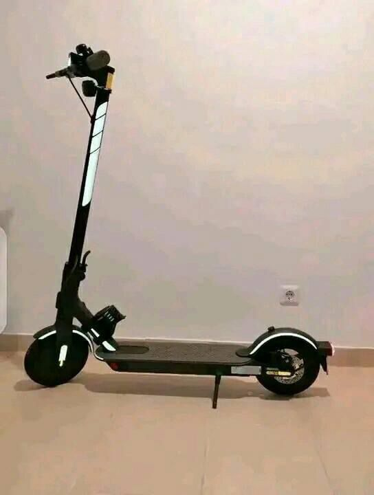 Trottinettes électrique