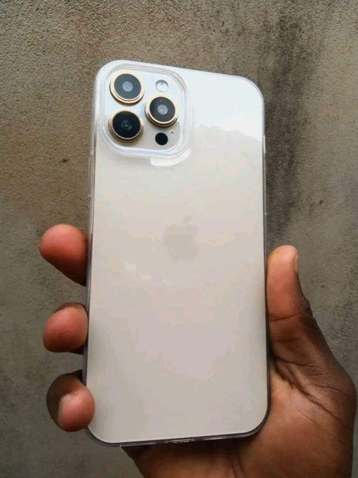 iPhone 13 pro max