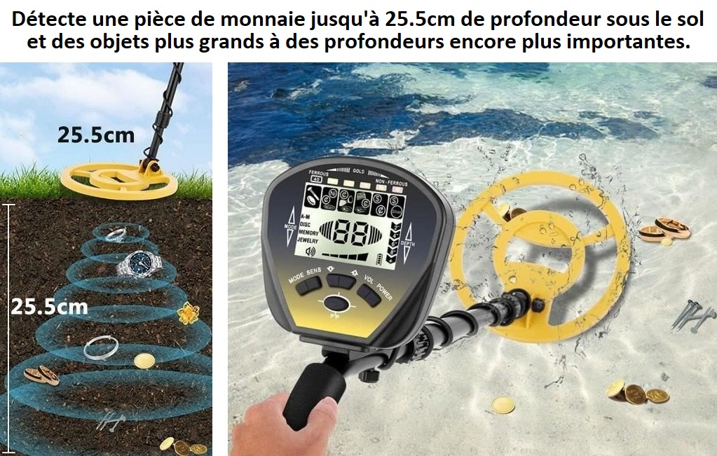 Location détecteur de métaux