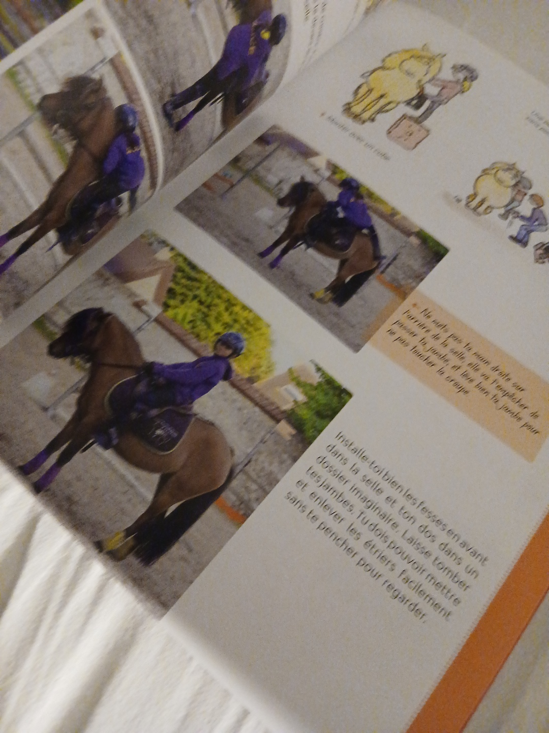 Livre sur l'art de l'équitation - Miniature 3