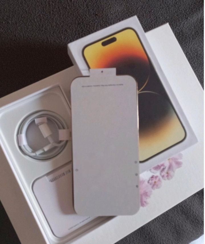 Appel iPhone 14 pro Max 512 go