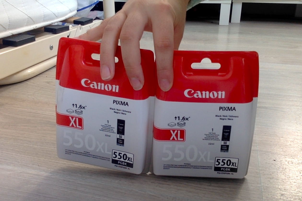 Lot de 2 cartouches d'encre Noires XL Canon PGI-550XL