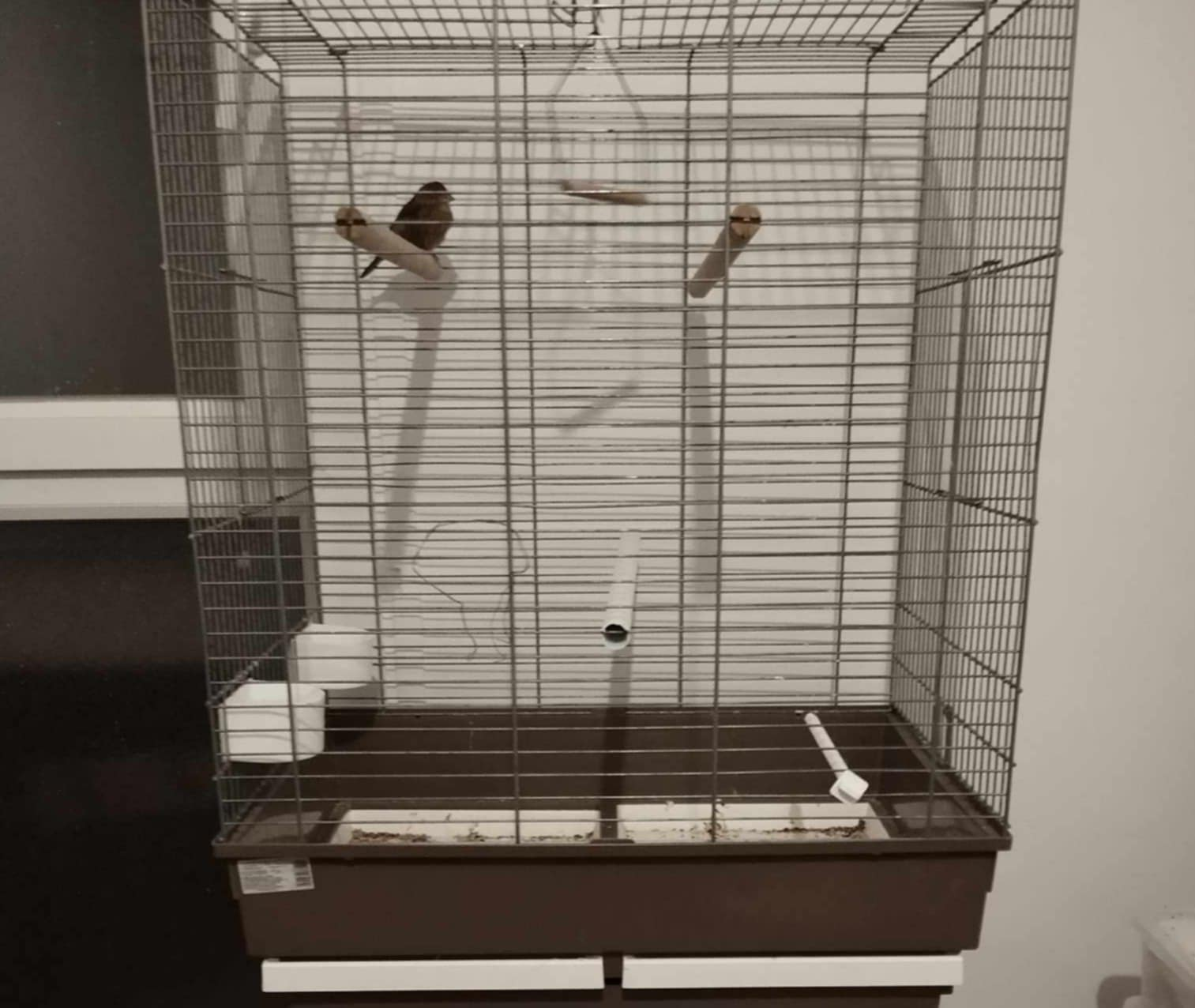 Grande cage en bon état à vendre