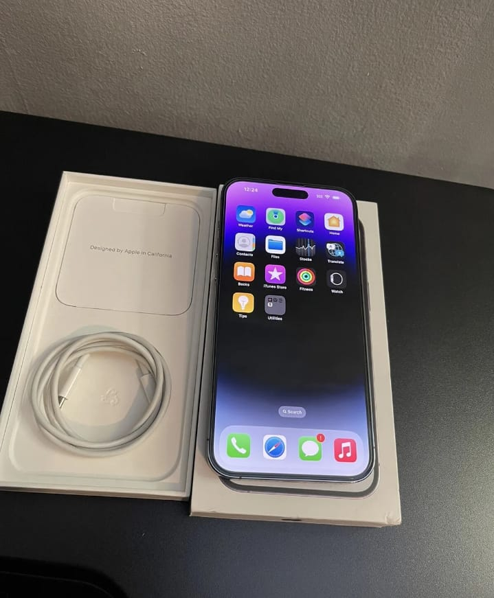 iPhone 13 pro max d'origine