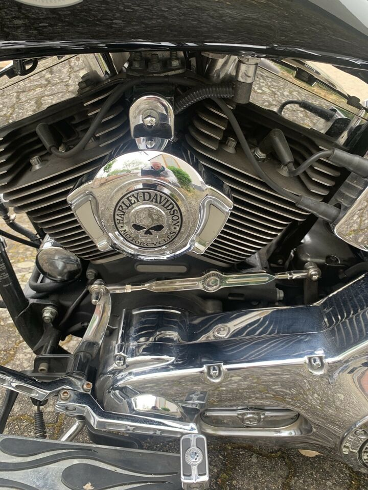Harley-Davidson Softail - Photo 1