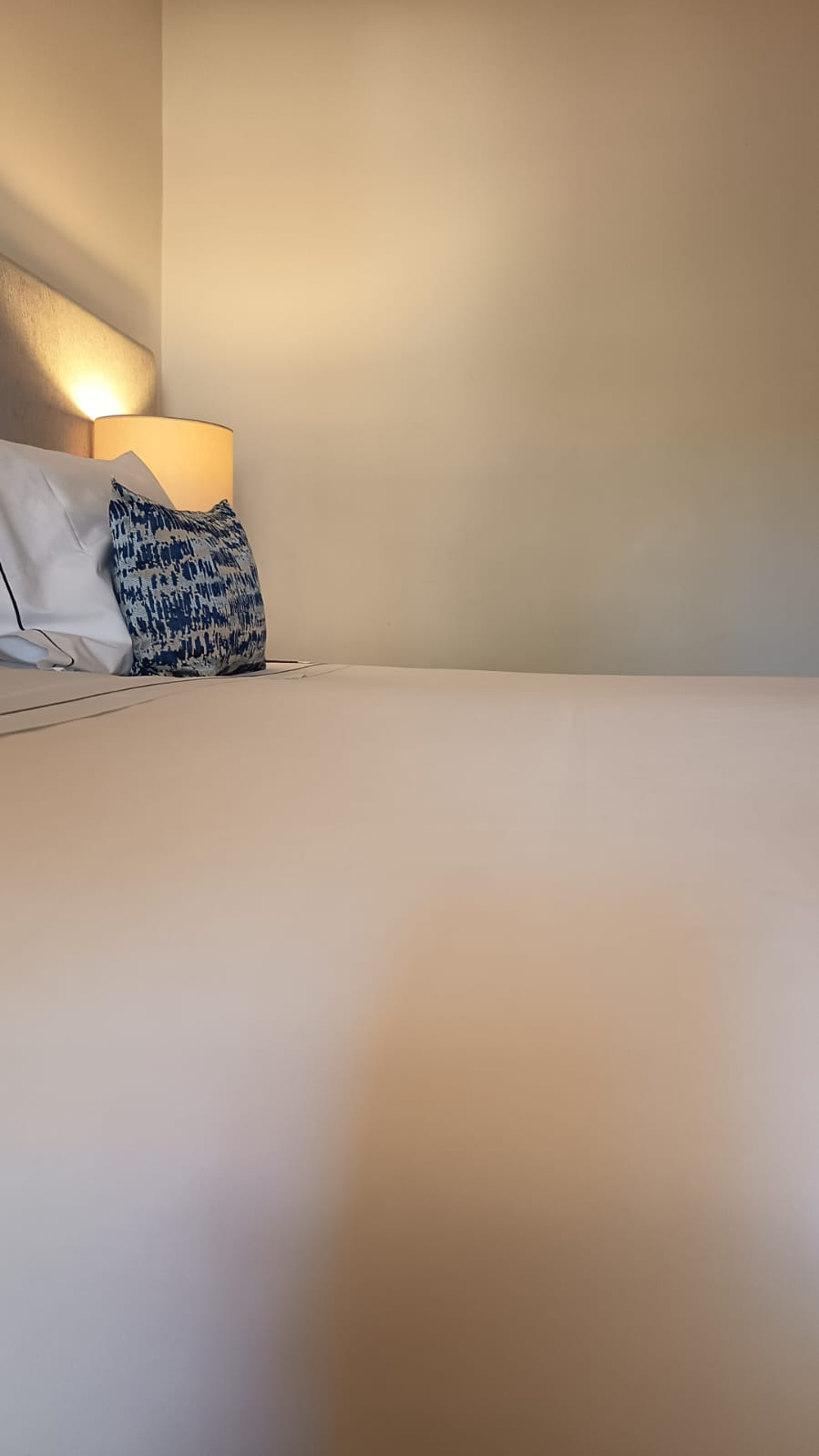 ménage et repassage à domicile