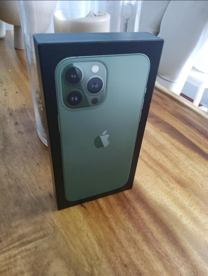 iPhone 13 pro max