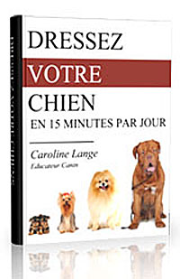 Dresser votre chien en moins de 2 Semaines !!!