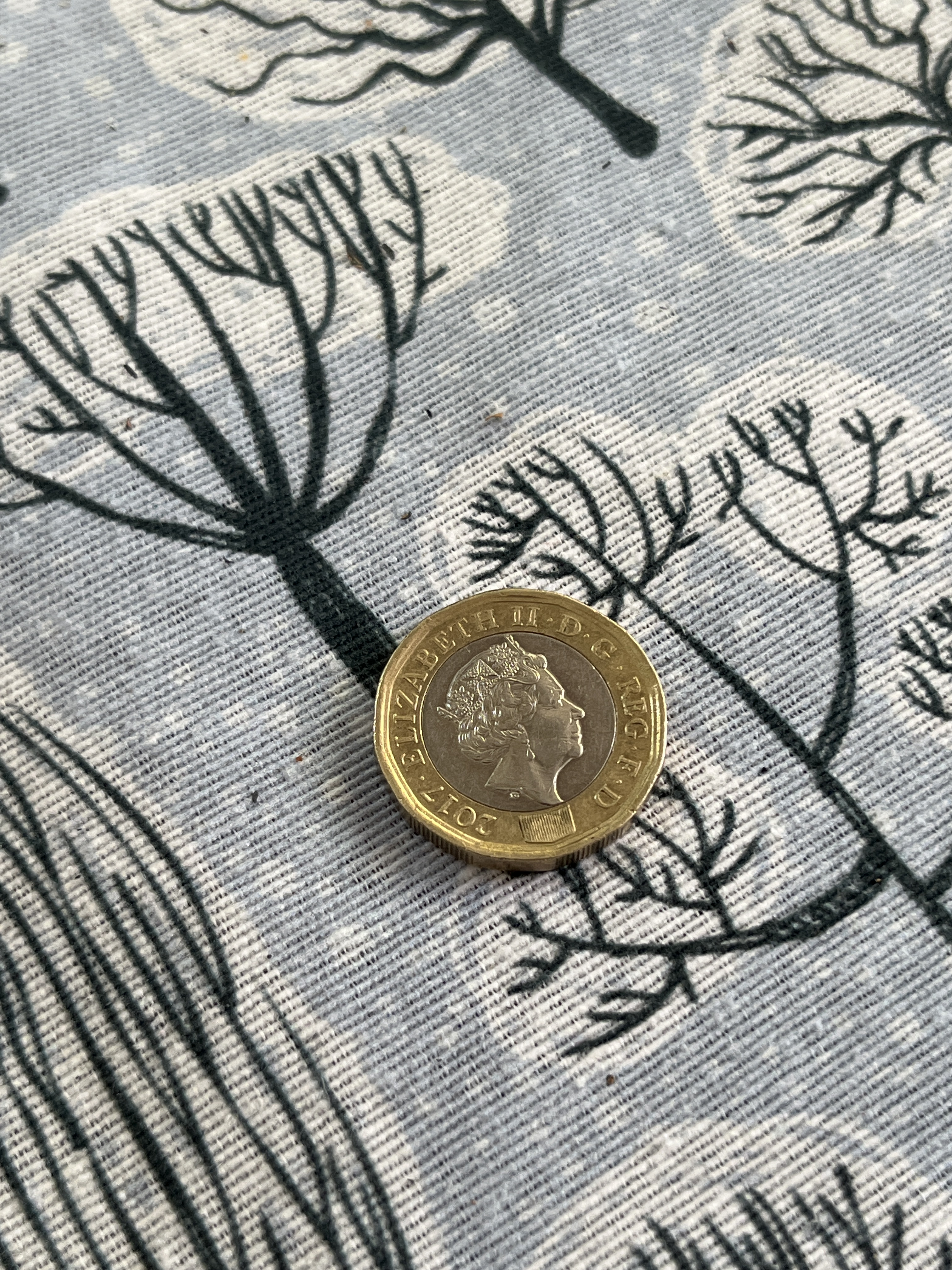 Queen Elizabeth II one Pound  coin vintage