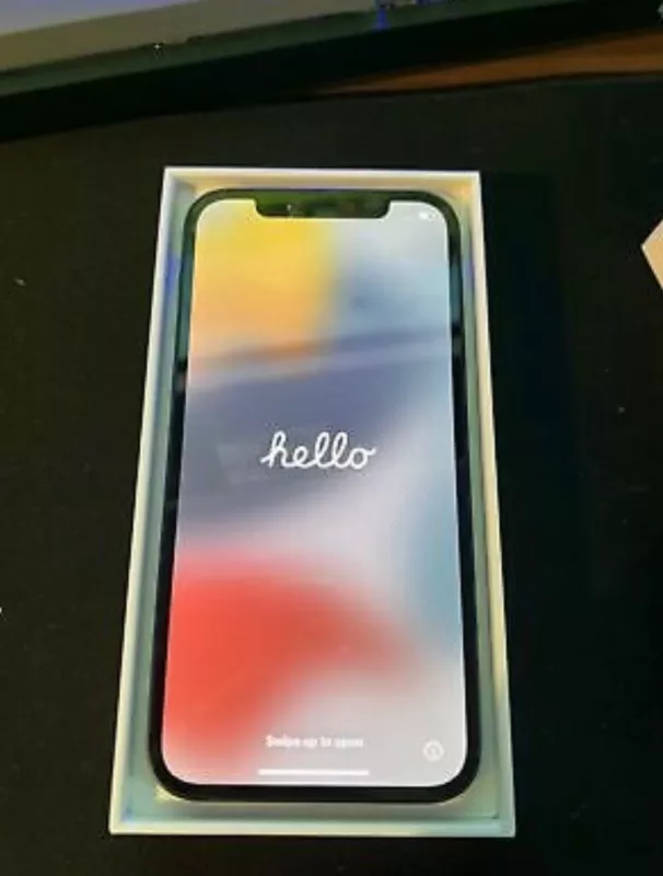 iPhone 12 512Go bleu