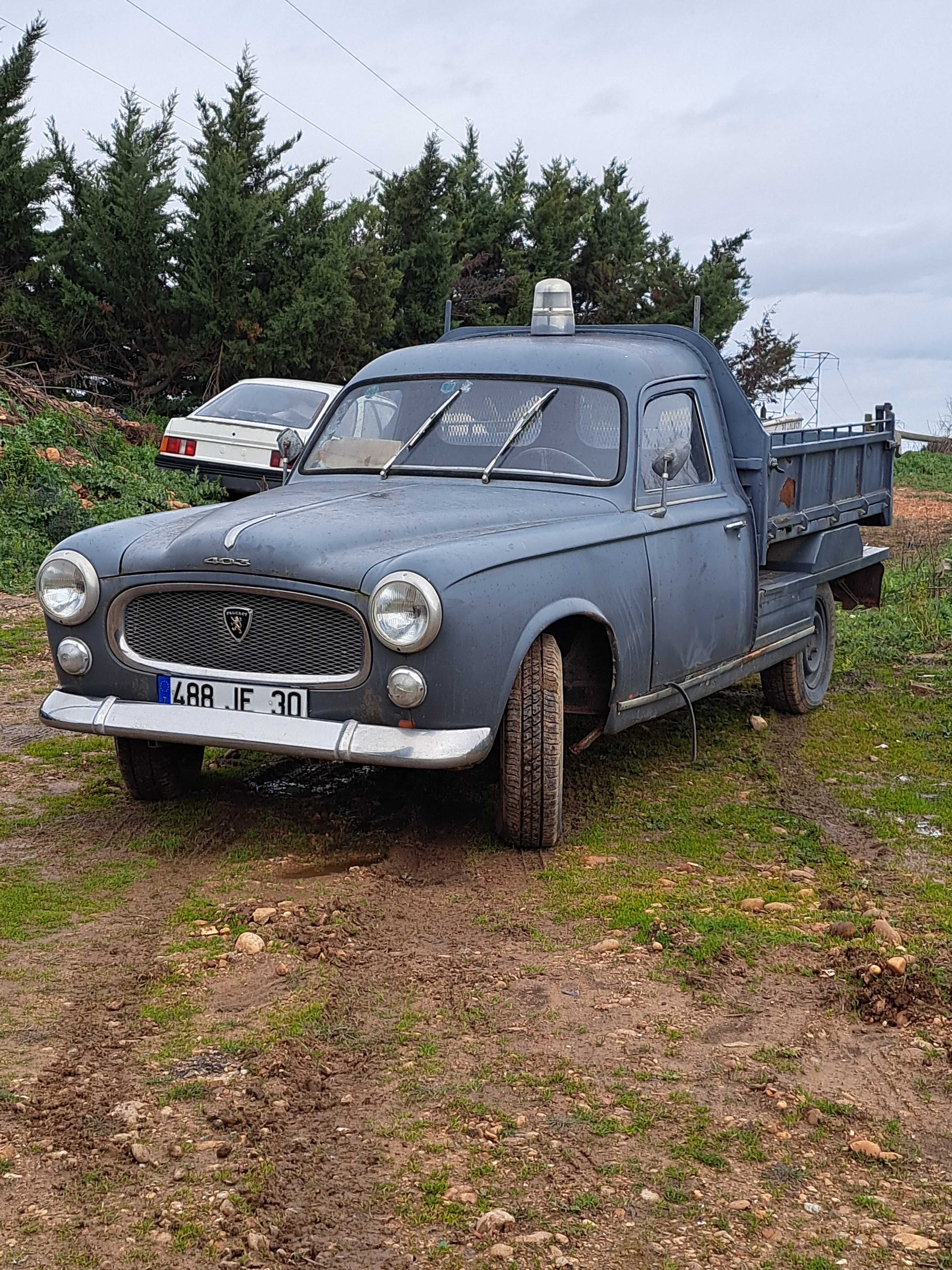 403 camionnette - Miniature 2