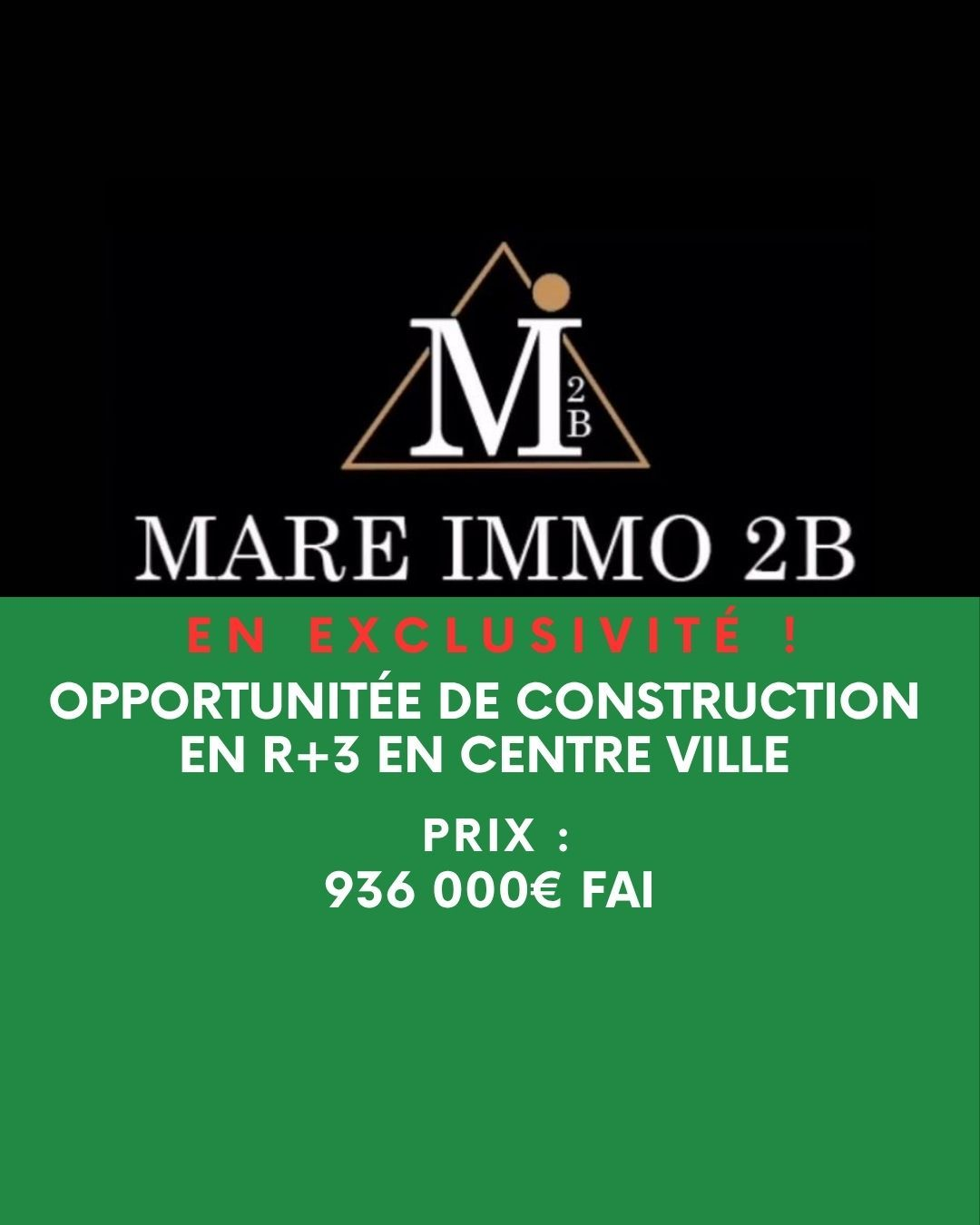 Spécial Investisseurs