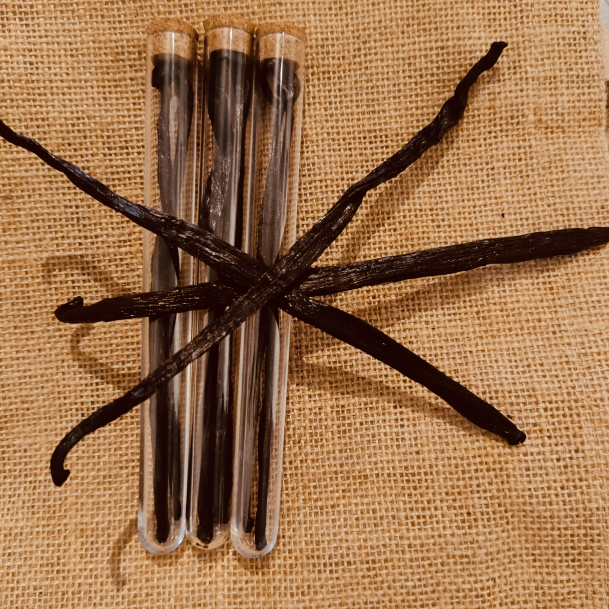 3 Gousses de Vanille Bourbon Bio