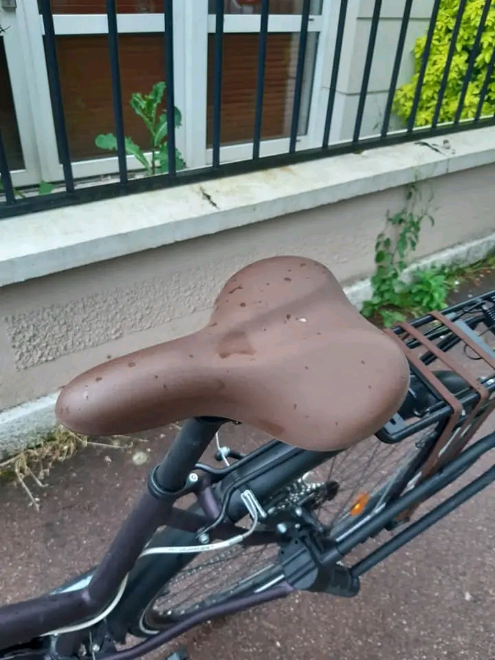 VÉLOS MUSCULAIRE BTWIN