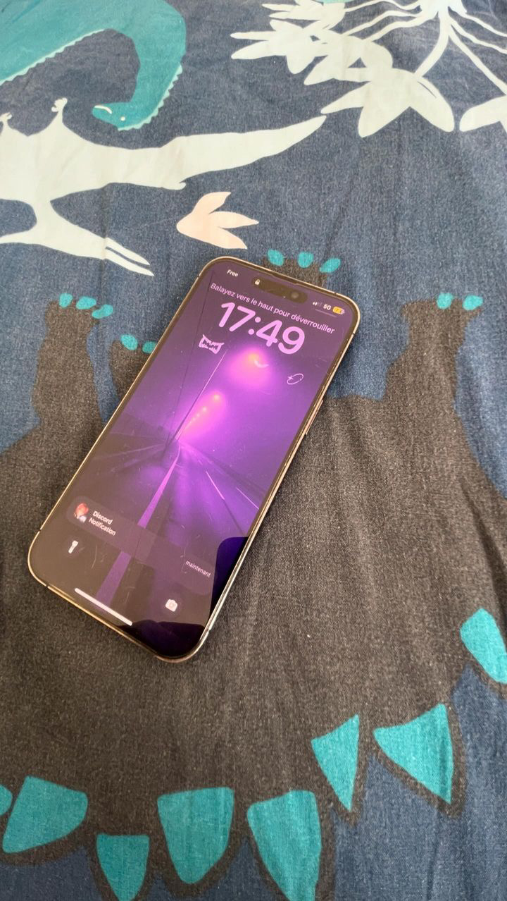 iPhone 14 Pro Max 256GB
