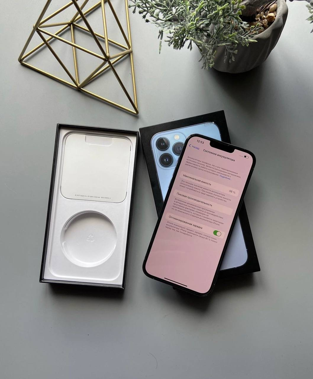 iPhone 13 pro max
