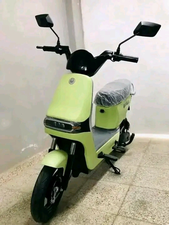 Band new Electric Scooter Bike