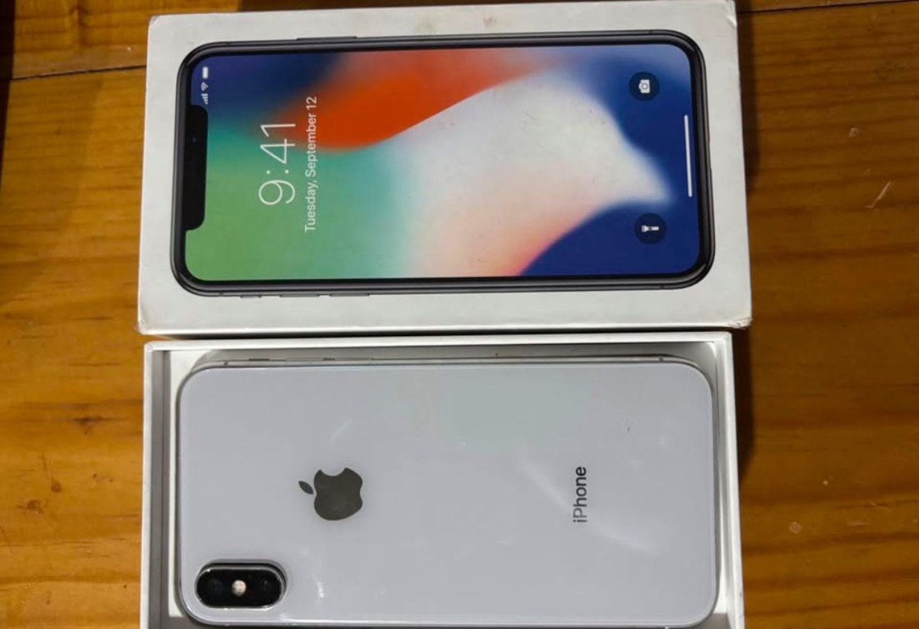 iPhone X