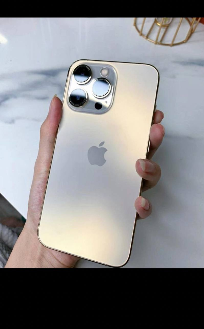 iPhone 13 Pro argent