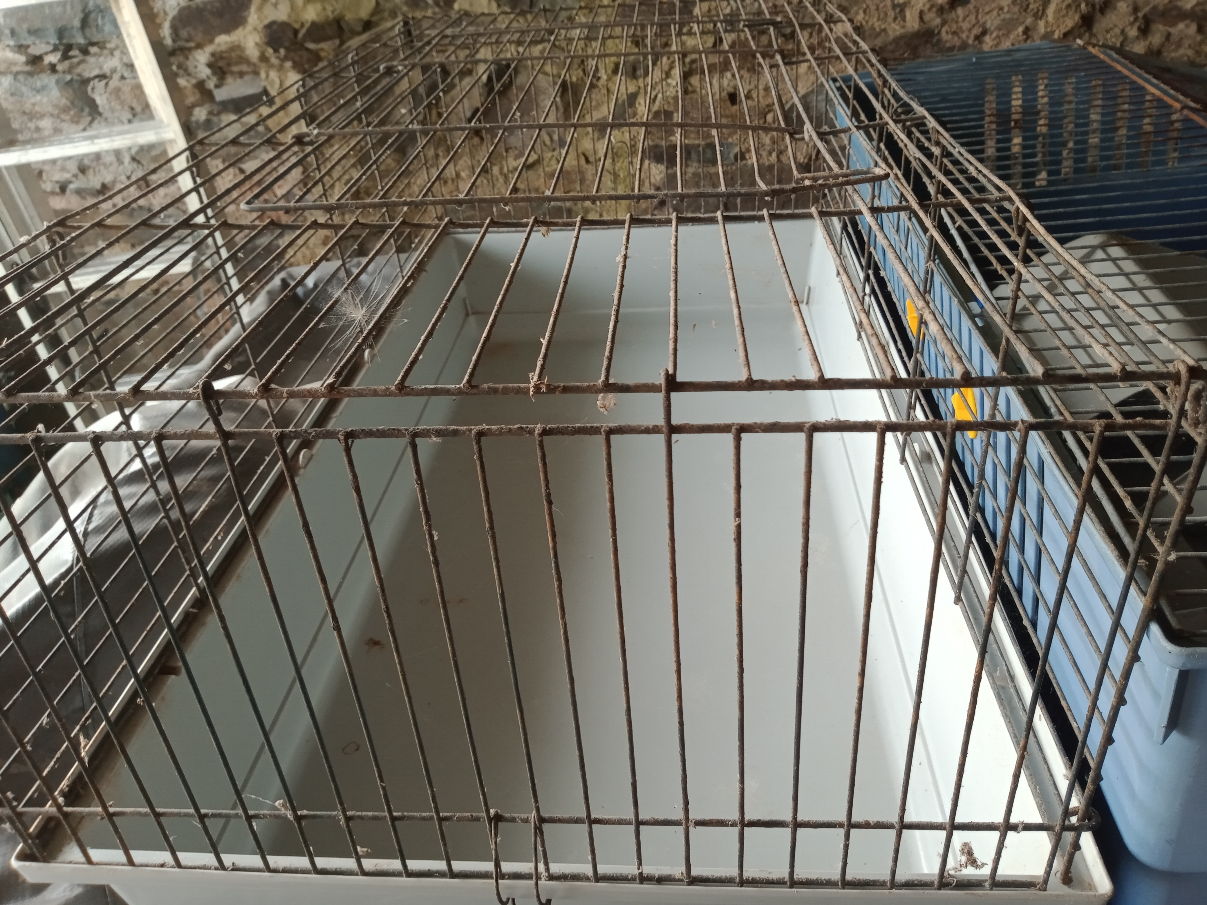 Vente de deux grandes cages pour lapins
