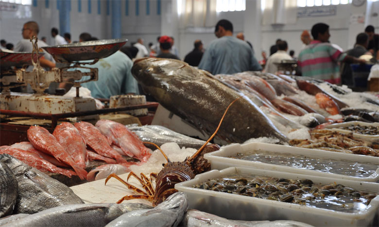 Export poissons