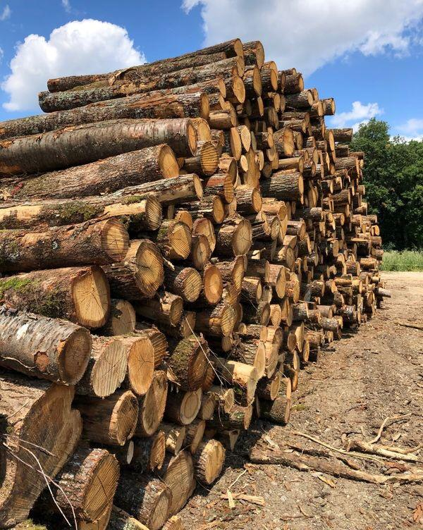 Bois de chauffage
